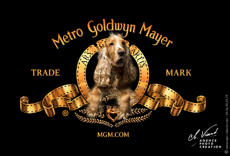 Portrait d'un chien façon Metro Goldwyn Mayer
