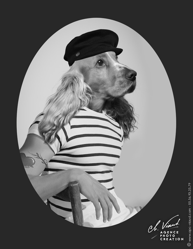 Portrait d'un chien marin façon Jean-Paul Gaultier