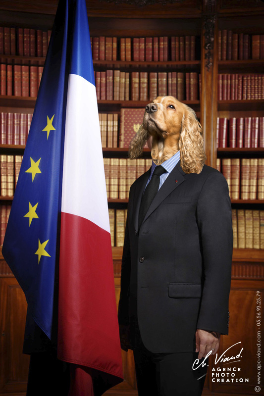 Portrait de chien façon président de la république