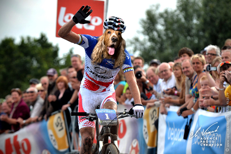 Portrait de chien façon coureur cycliste pour le Jeux Olympiques