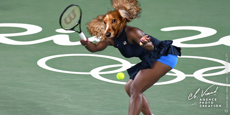 Portrait de chien façon joueuse de tennis pour le Jeux Olympiques