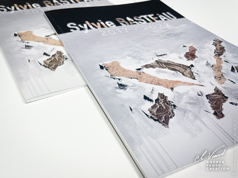 Présentation du livre de l'artiste Sylvie Basteau - Couverture graphique et design