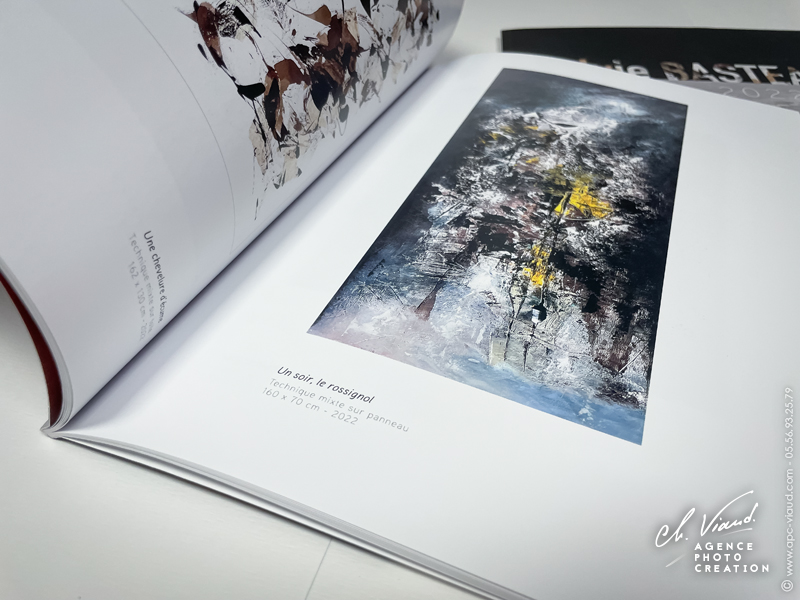 Présentation du livre de l'artiste Sylvie Basteau - présentation des oeuvres