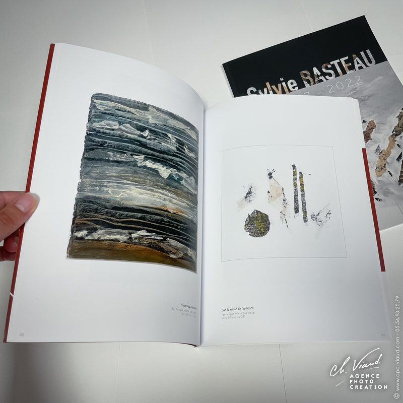 Présentation du livre de l'artiste Sylvie Basteau