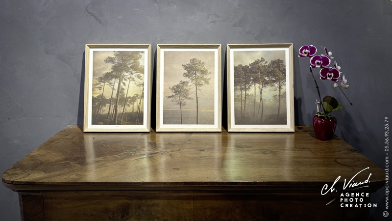 cadre chêne massif design pour un triptyque de gravures